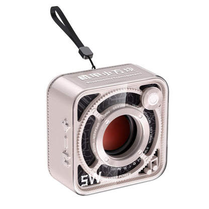 DW12 (Bluetooth 5.1,4 hours playtime,100-18KHz frequency response)