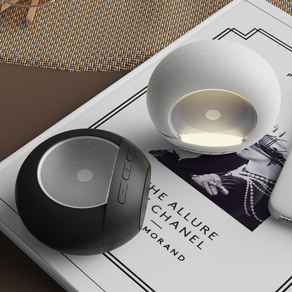 DW06 （Bluetooth 5.0,ABS + Metal Mesh,TWS pairing）